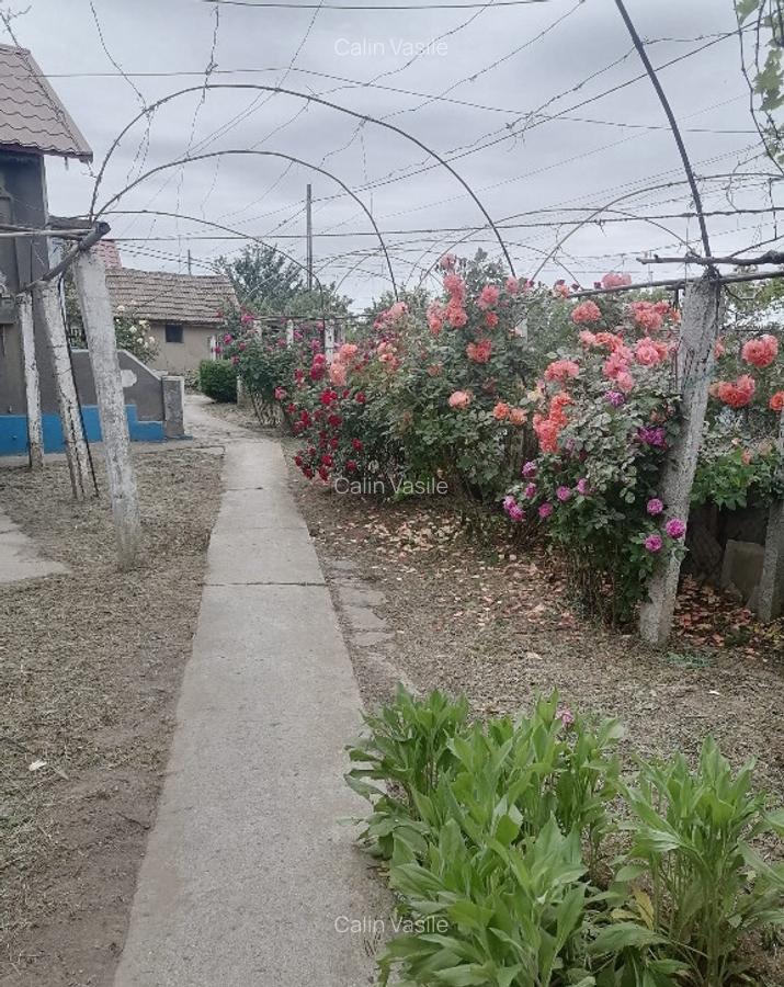 Casa in satul Zebil cu vedere superba spre lacul Babadag - 6