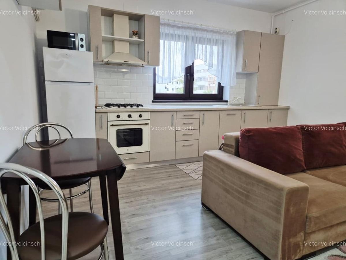 Apartament cu 2 camere spatios 67mp utili, central, complet mobilat si utilat - 3