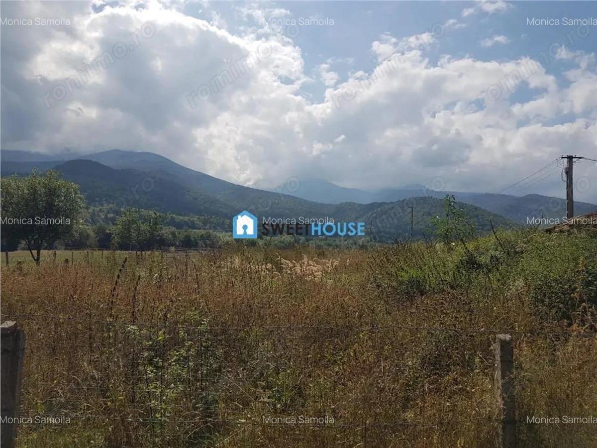 Teren de vanzare in Sambata de Sus - 5