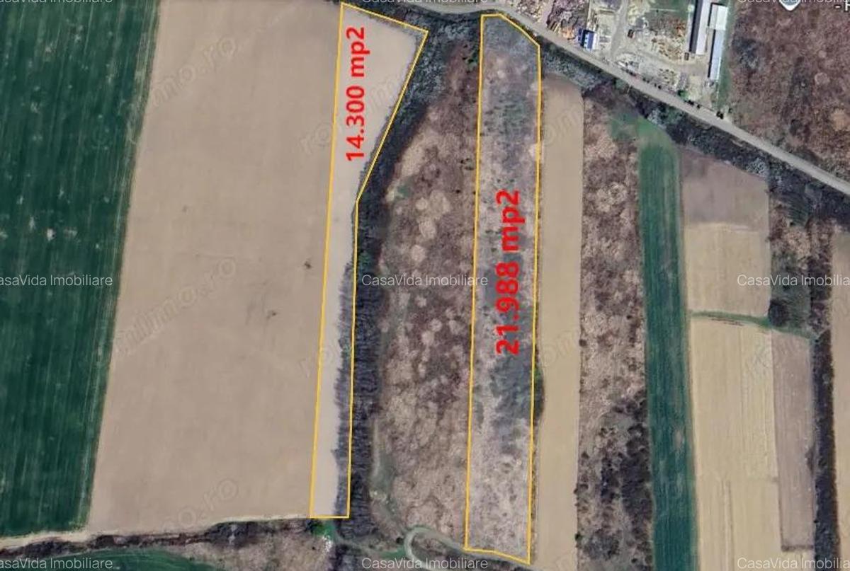 Teren extravilan de vanzare in Lugoj - 2