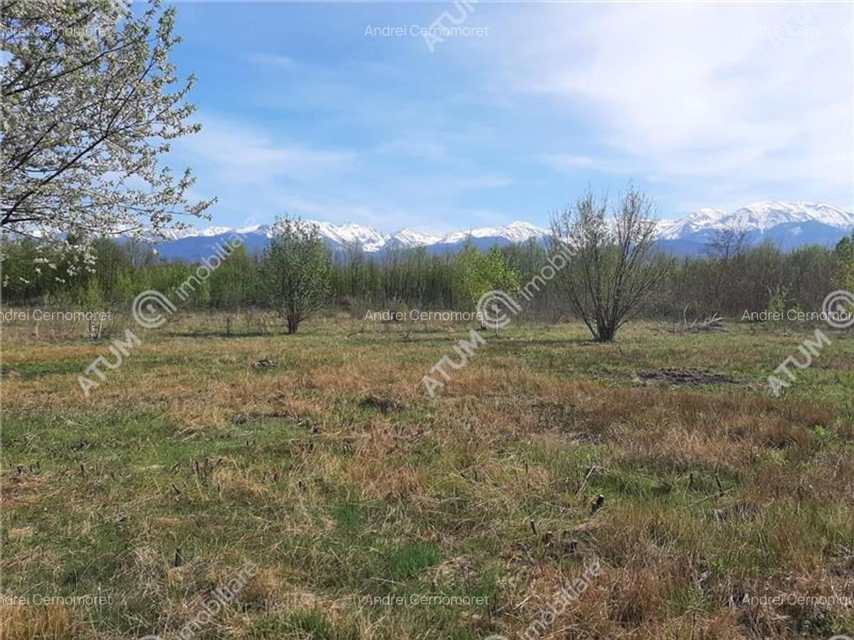 Teren intravilan 2700 mp pe Valea Avrigului localitate Avrig - 6