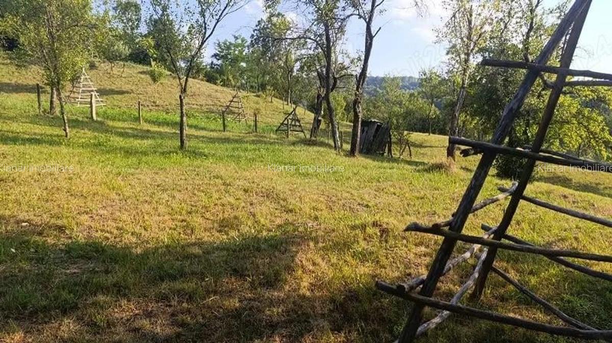 Super oferta! Teren 4874 mp in Arefu jud Arges - 8