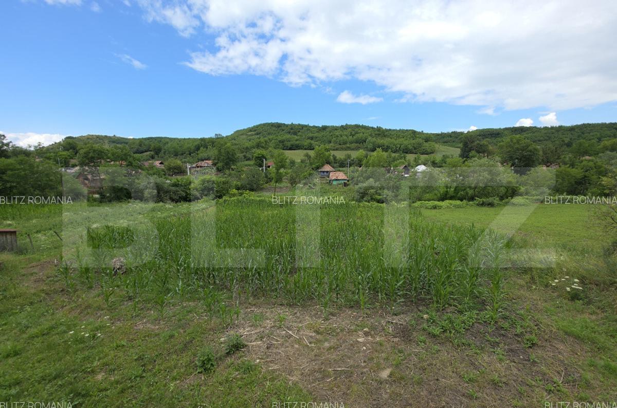 Casa la tara de vanzare, cu 13 ari de teren, la 40 km de Bi - 16