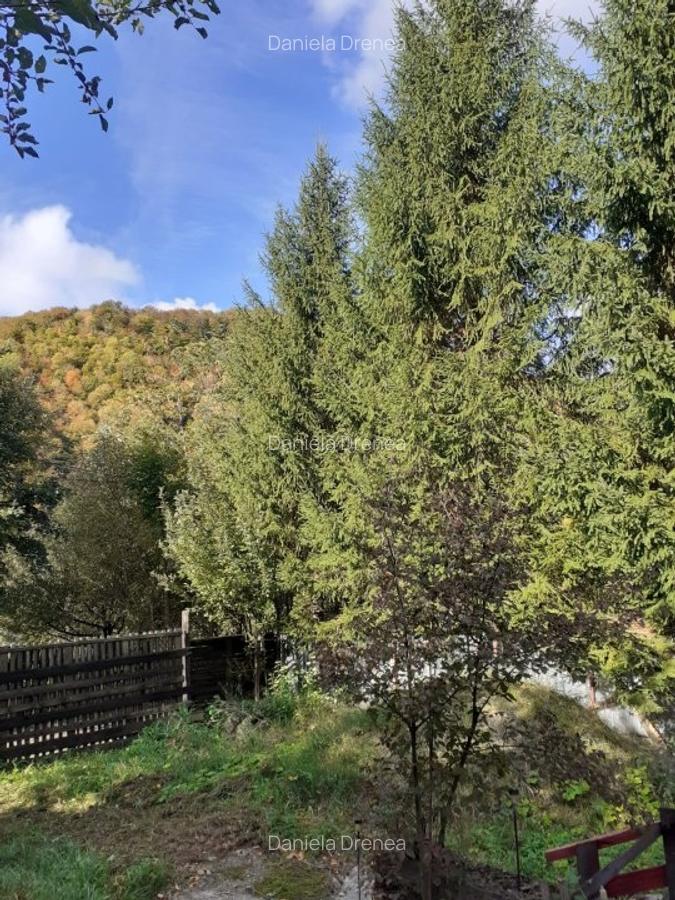 Casa zona Lepsa pret 46000 euro - 4