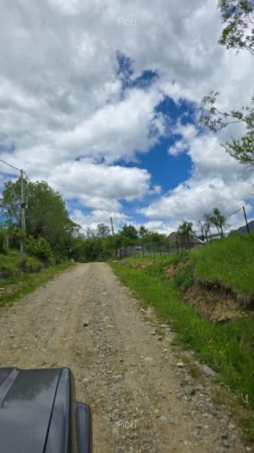 Vand Teren Corbeni, Arges zona Cetatea Poenari, Transfagarasan - 5
