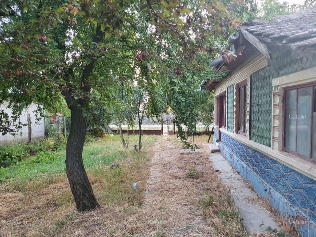 Casa de vanzare Amara Ialomita - 1