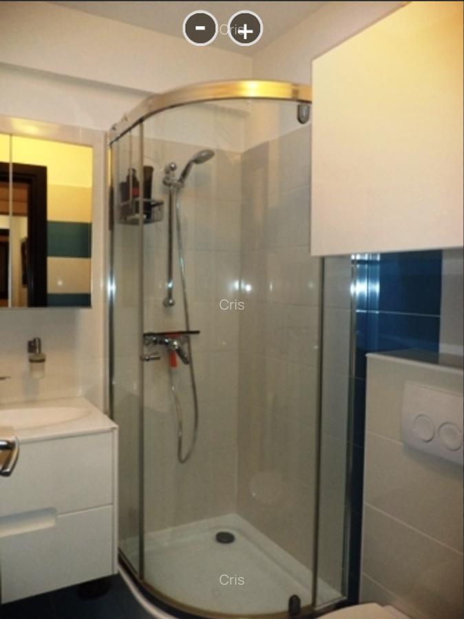 Apartament deosebit intr-o zona deosebita, luminos, terasa 25mp cu intimitate - 4
