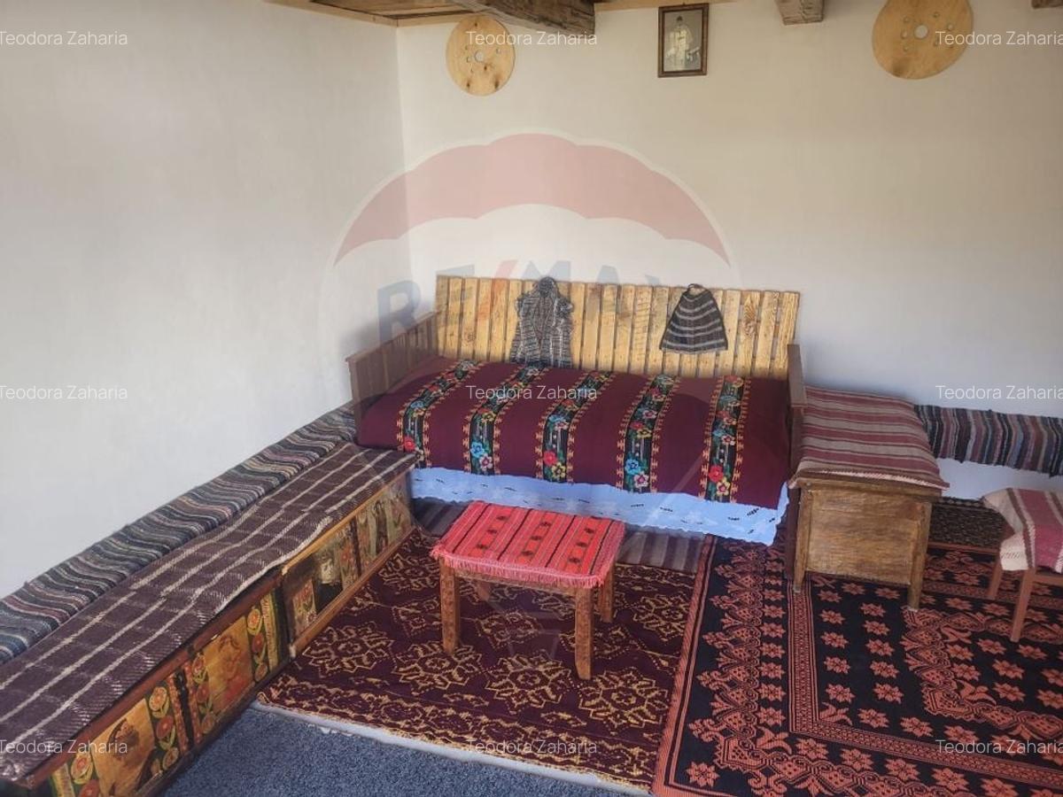 Vanzare casa la munte - zona turistica - Baia de Fier - 21