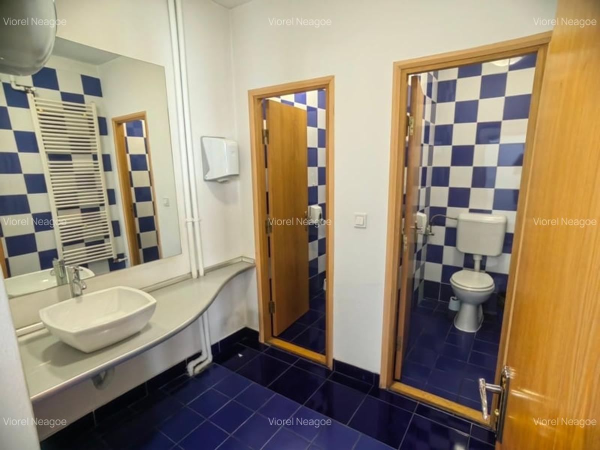 Vila de inchiriat Cismigiu Stirbei Voda - 15