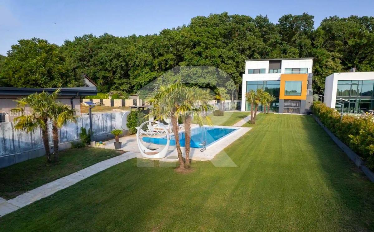 Pe Malul Snagovului, Unde Luxul Devine Cotidian - 37