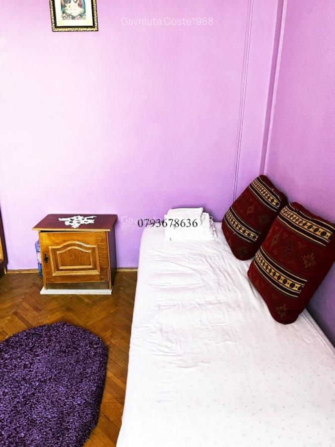 EXCLUSIVITATE !!!  doar 300 euro !!!  Apartament 2 camere mobilat si utilat Podu - 9