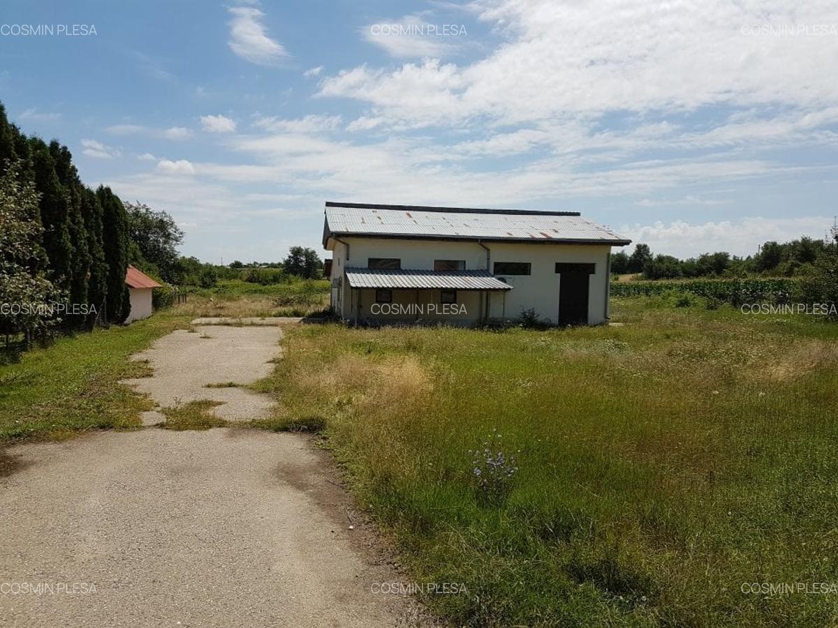 Casa 141mp, teren 6.000 mp, Cateasca - Gruiu - 1