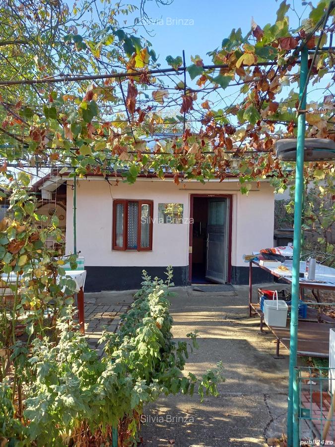 Povernei Bragadiru casa 55 mp, teren 1274 mp cu livada - 4