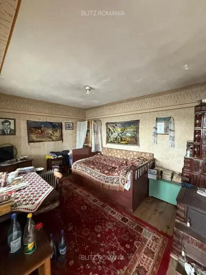 Casa batraneasca, renovabila, Comuna Danesti, Sat Vacarea, 2570 mp, front 25 ml - 4