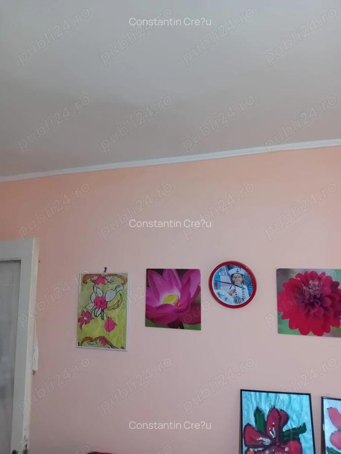 Vanzare imobil curte - 5