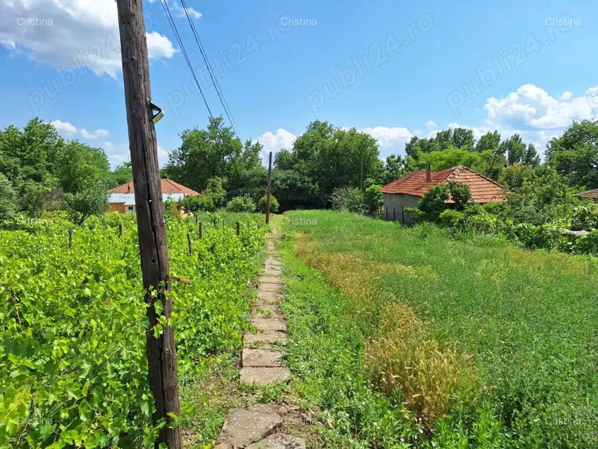 Teren cu casa de vanzare - 5