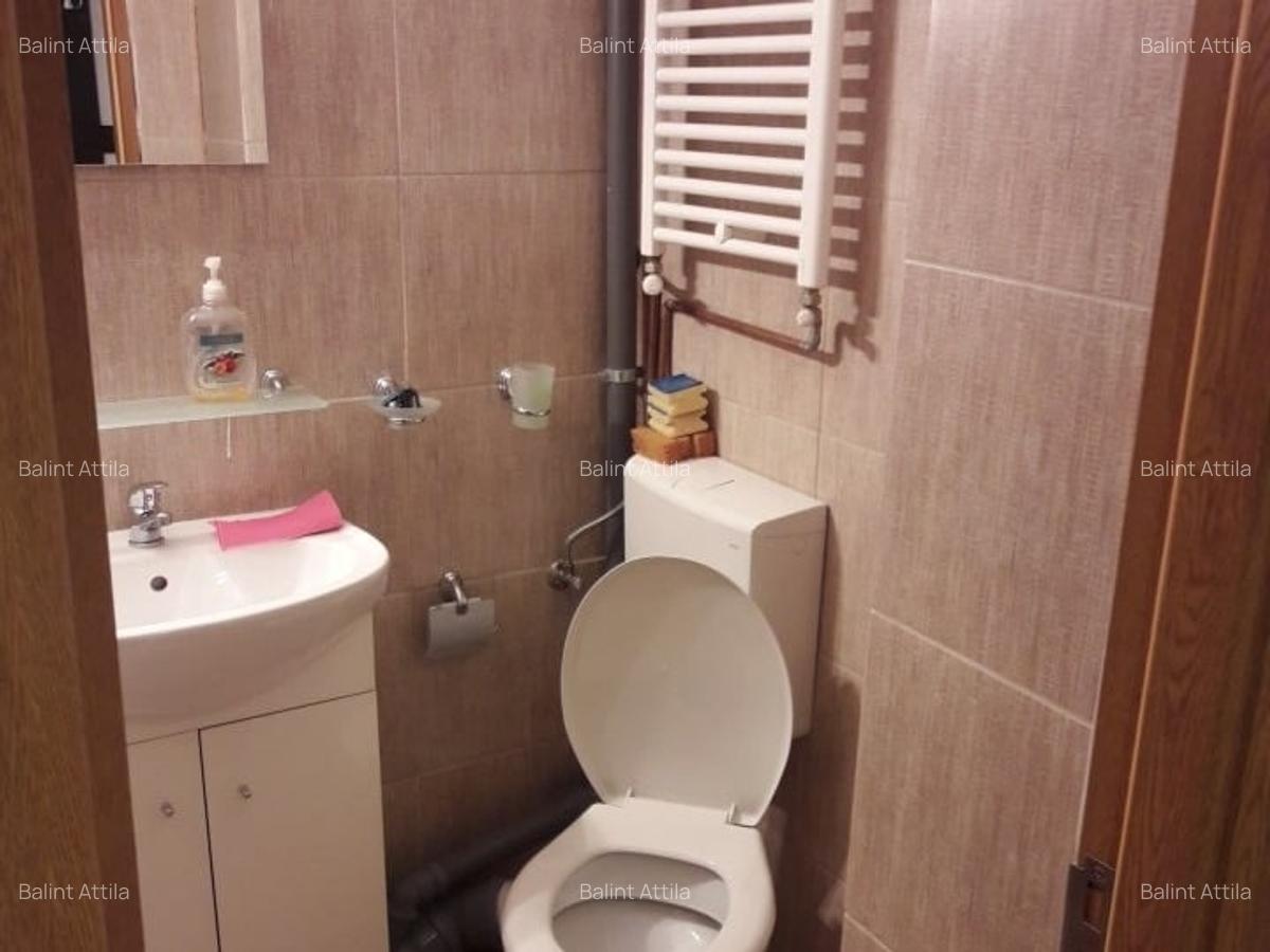 Sagului- Piata Doina 3 camere 400 euro - 3