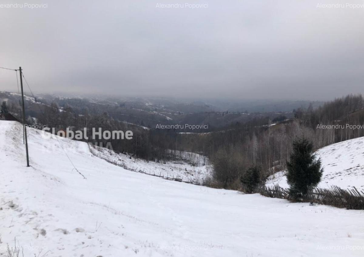 Teren 725 MP | Moieciu de Jos | Piatra Craiului | Oportunita - 12