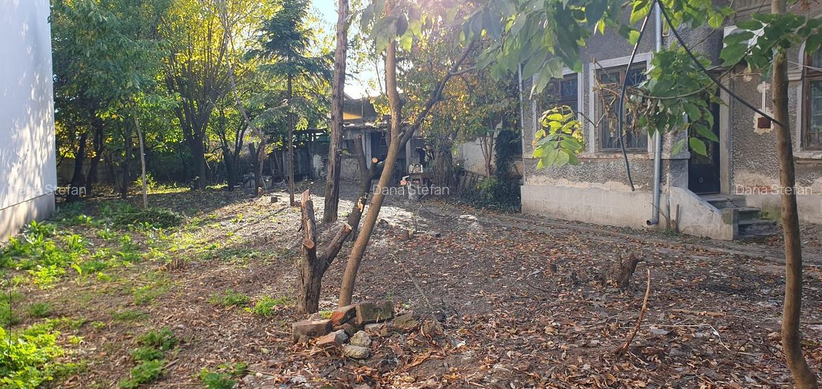 Casa Ploiesti-Toma Ionescu - 1