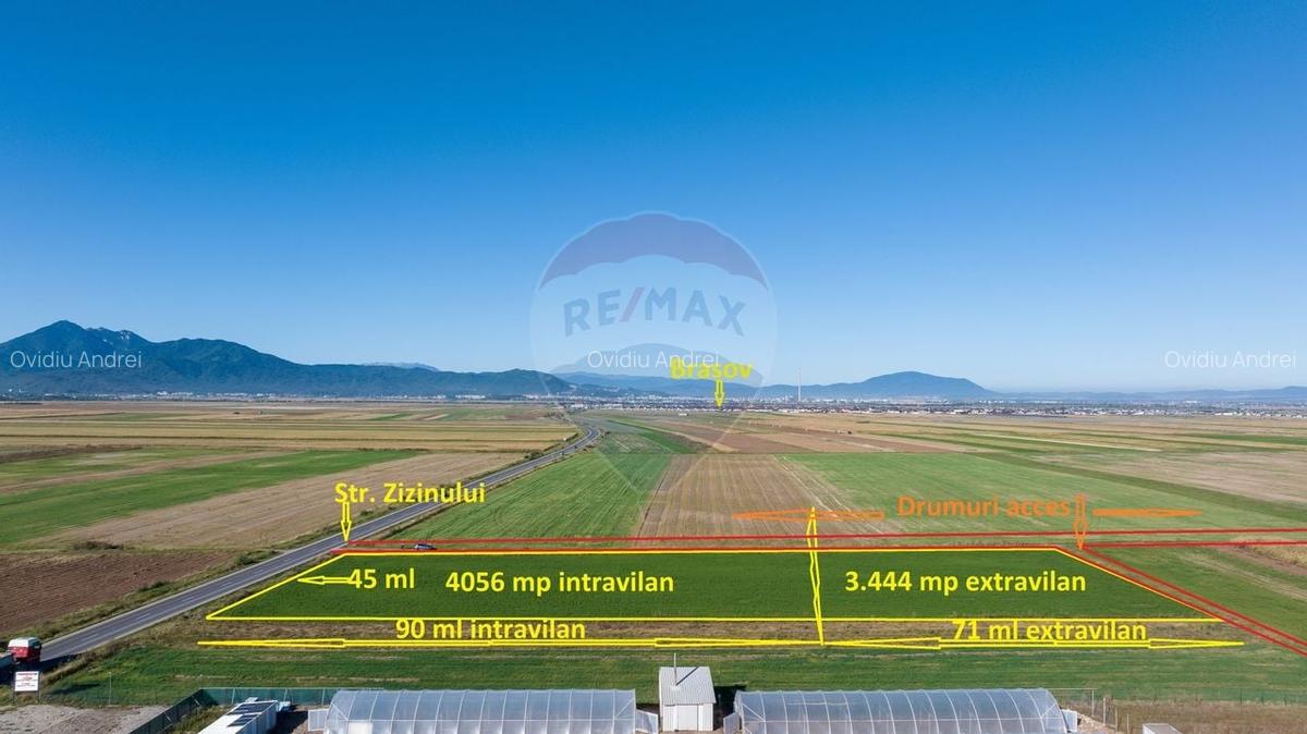 Teren 7,500mp Tarlungeni / Strada Zizinului - 1