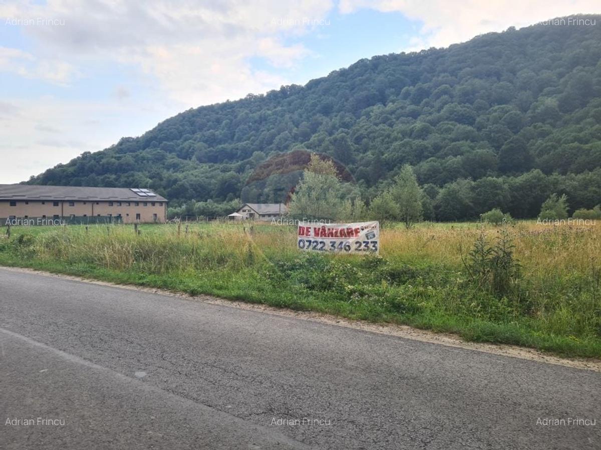 Teren extravilan, 2500 mp, Rasnov, Glajarie - 5