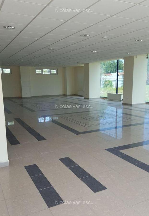 Spa?iu depozitare si productie Ciolpani - 5