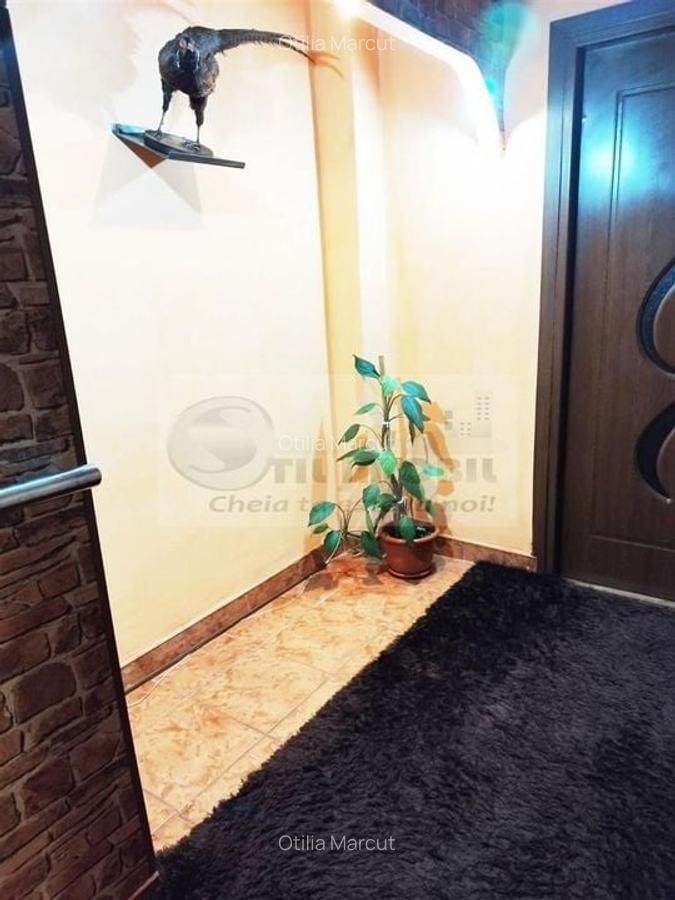 2 CAM PODU ROS PALAS CANTEMIR FARA RISC ETAJ INTERMEDIAR - 10 2 CAM PODU ROS PALAS CANTEMIR FARA RISC ETAJ INTERMEDIAR - 10