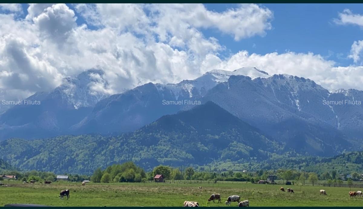 1400 m2 Intravilan în Glajariei Râșnov - 2