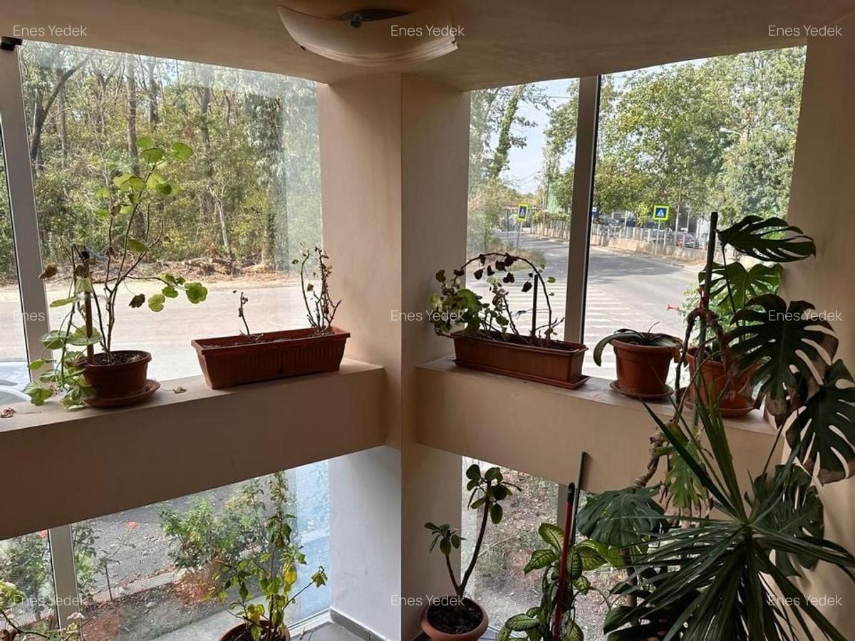 HALA INDUSTRIALA | 850 mp + 350 mp birouri | Zona Baneasa – Greenfield - 10