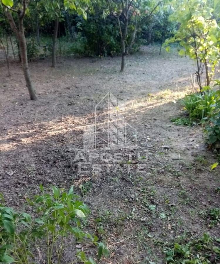 Casă veche în Timișoara  cu teren generos 806 mp - 2