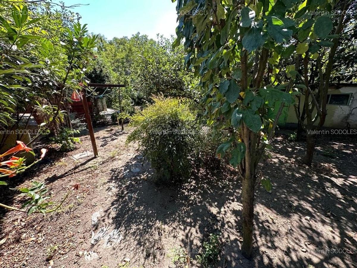 Casa cu teren 1394 mp zona Mehala - 2