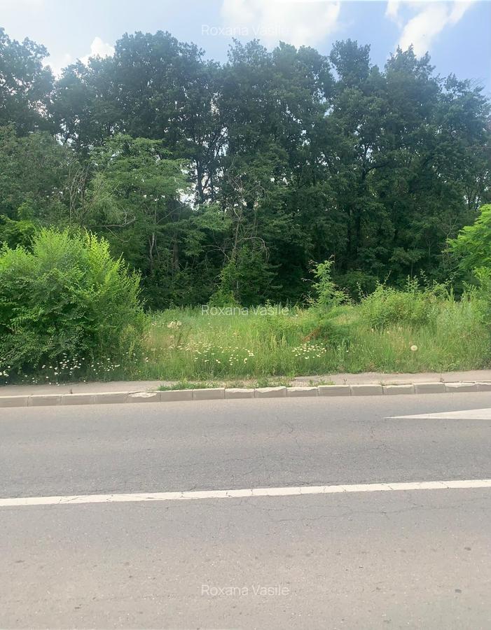 Vanzare  Teren intravilan Baneasa  - Teren   Jandarmerie - 7