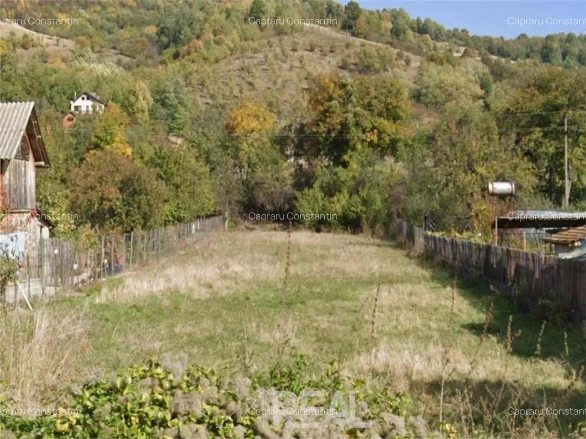 Teren de vanzare Drajna de Sus, zona buna pentru case vacanta - 2
