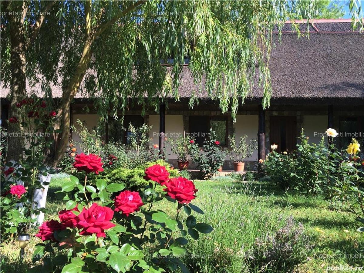 Pensiune agro-turistica in paradisul Deltei Dunarii - 4