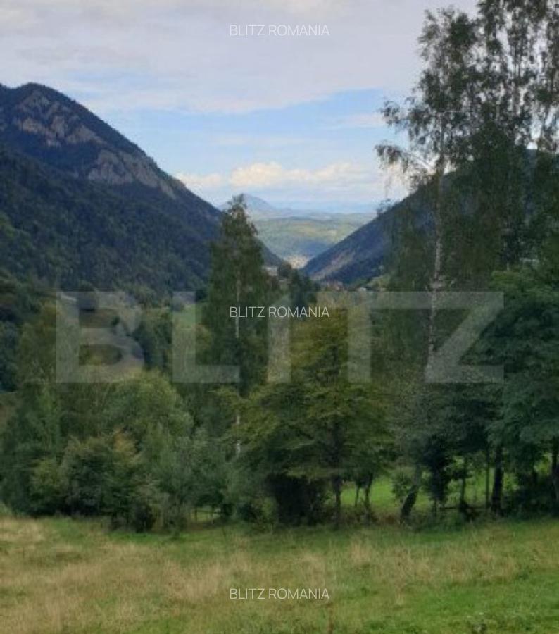 Teren 13.570 mp, Moieciu Pestera - 29