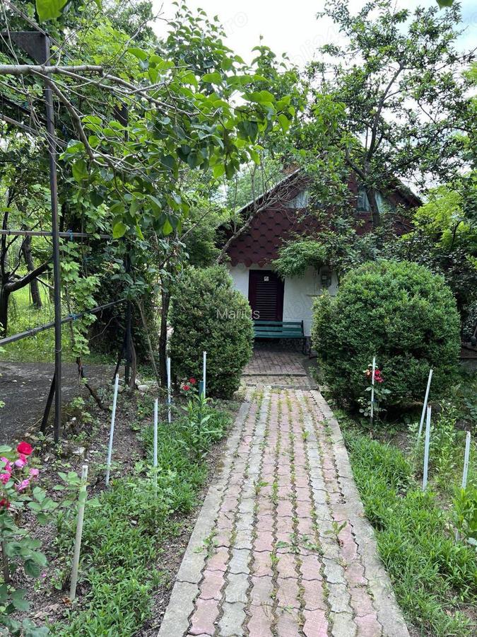 Casa de vacanta pe deal, D+P+M cu 8400 mp, teren - 2