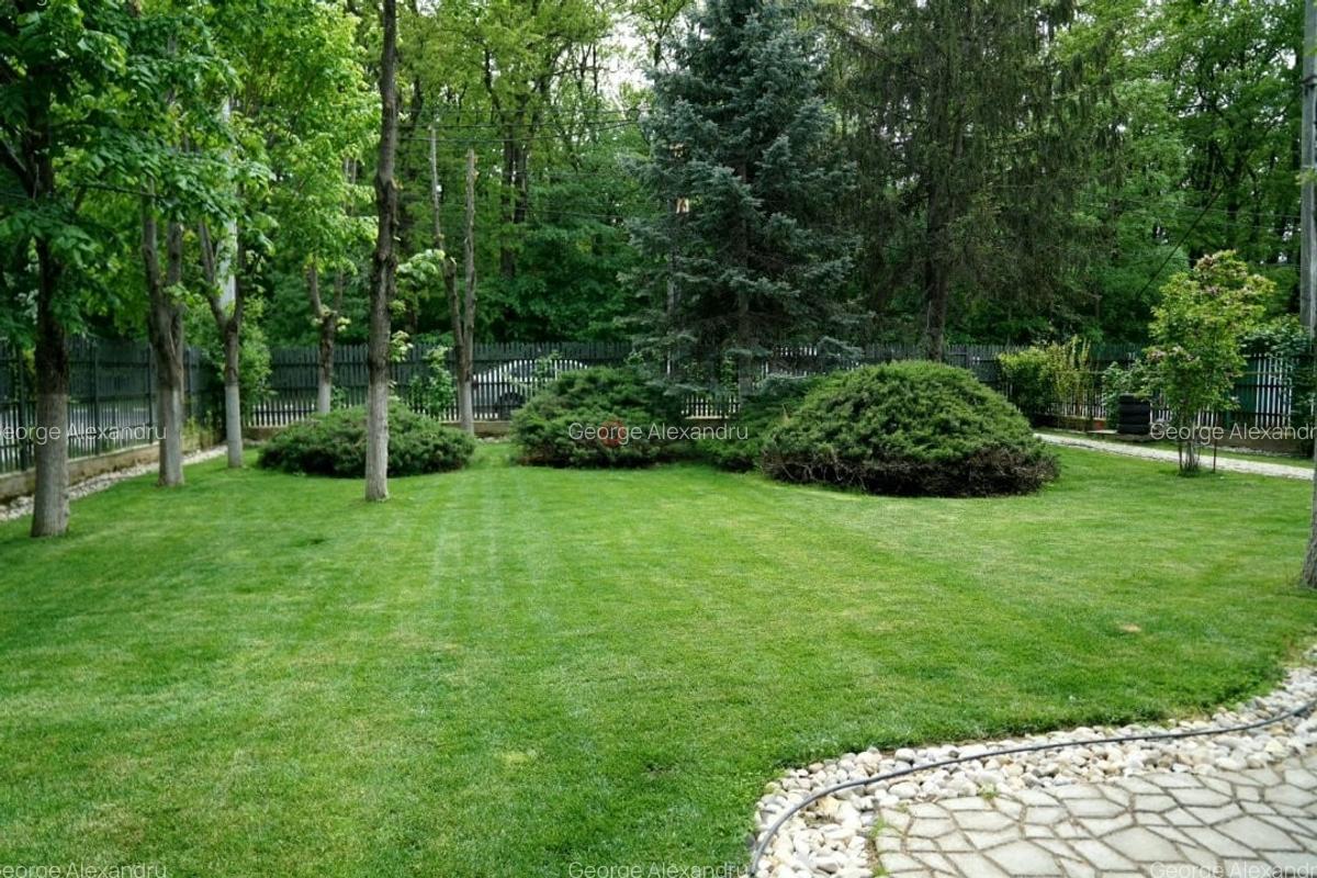 Vila 5 Camere Snagov - 2