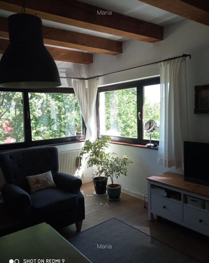 Casa cu peste 1HA pamant la poalele muntelui Cozia - 5
