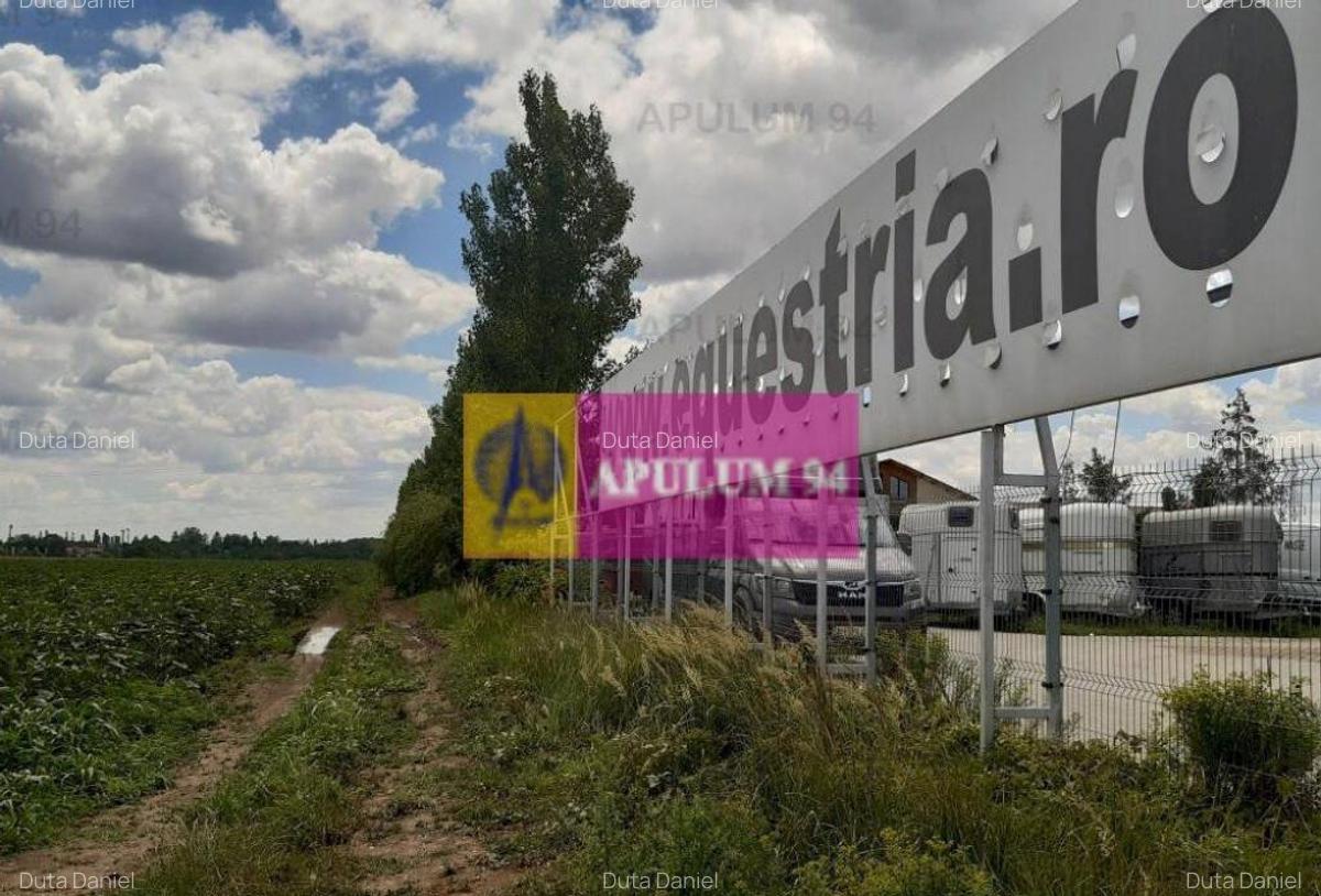 Teren 715mp in Snagov langa Equestria - 16