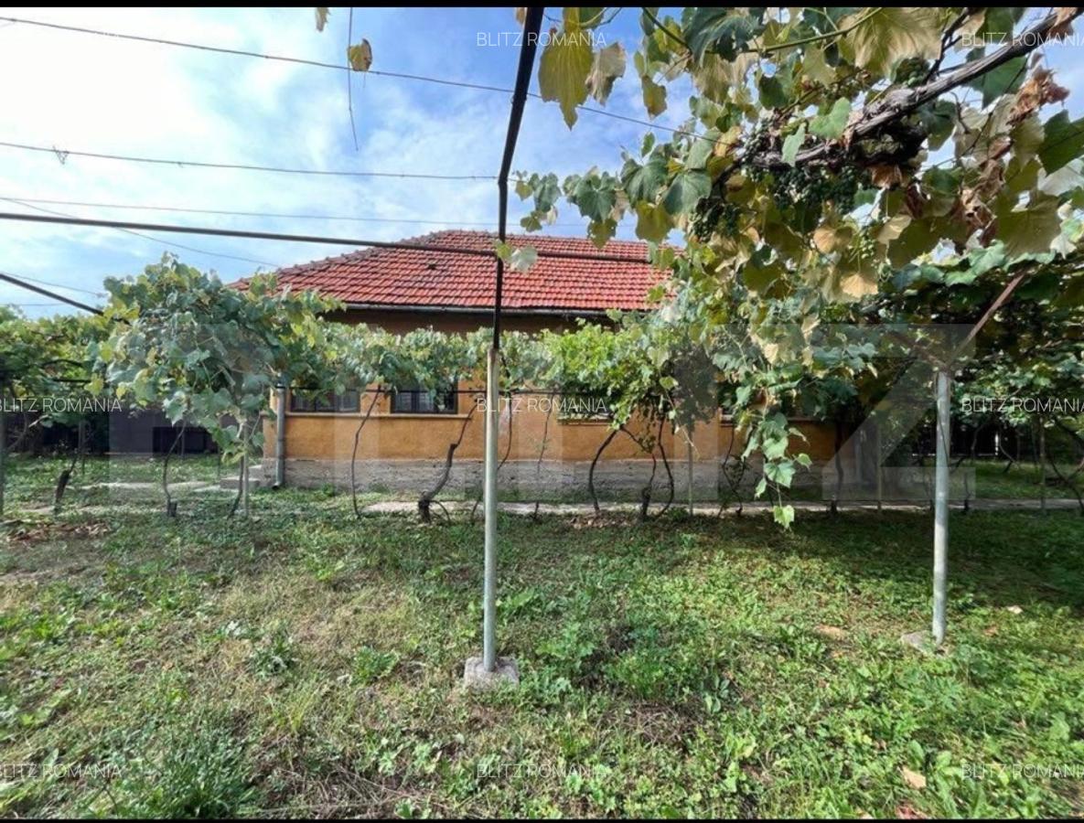 Doua casa de vanzare, teren intravilan 1773 mp, zona Stolojani - 3