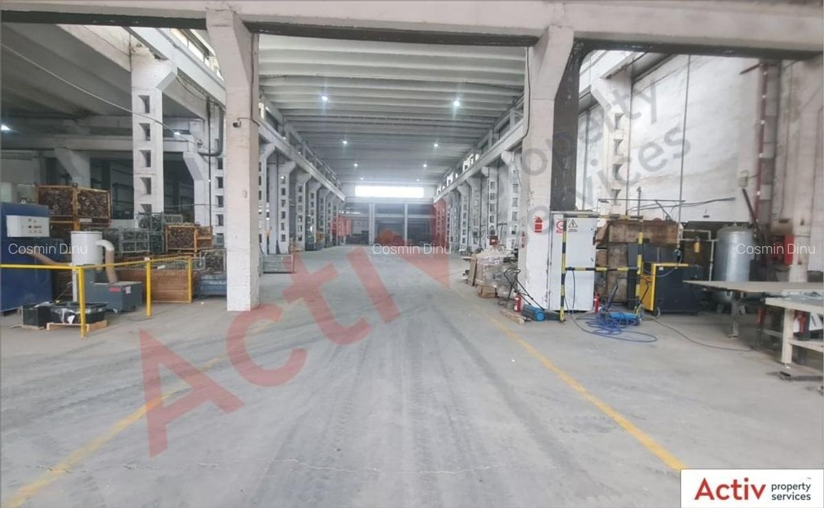 Spațiu industrial, 7900 mp în Vest - 3
