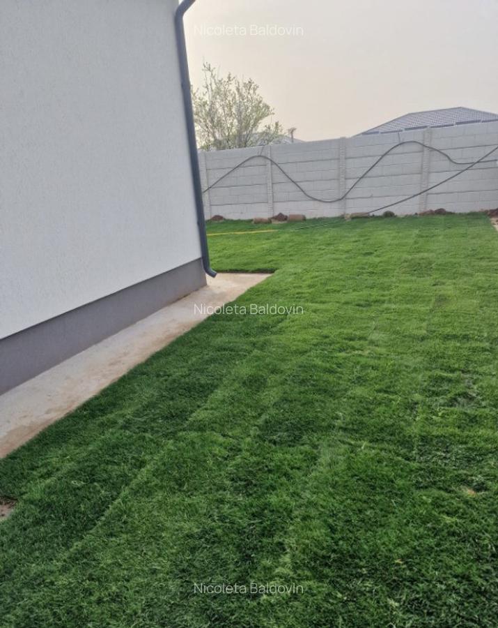 Casa singulara , 4 camere, gata de mutat, Bragadiru - 15