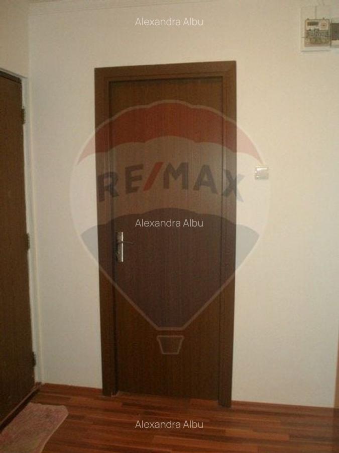 Inchiriere apartament in zona Stefan cel Mare - 11