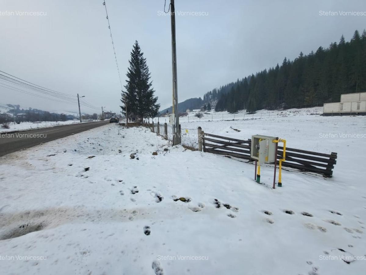 Teren, Ideal pentru Investitie Sau Dezvoltare - 9