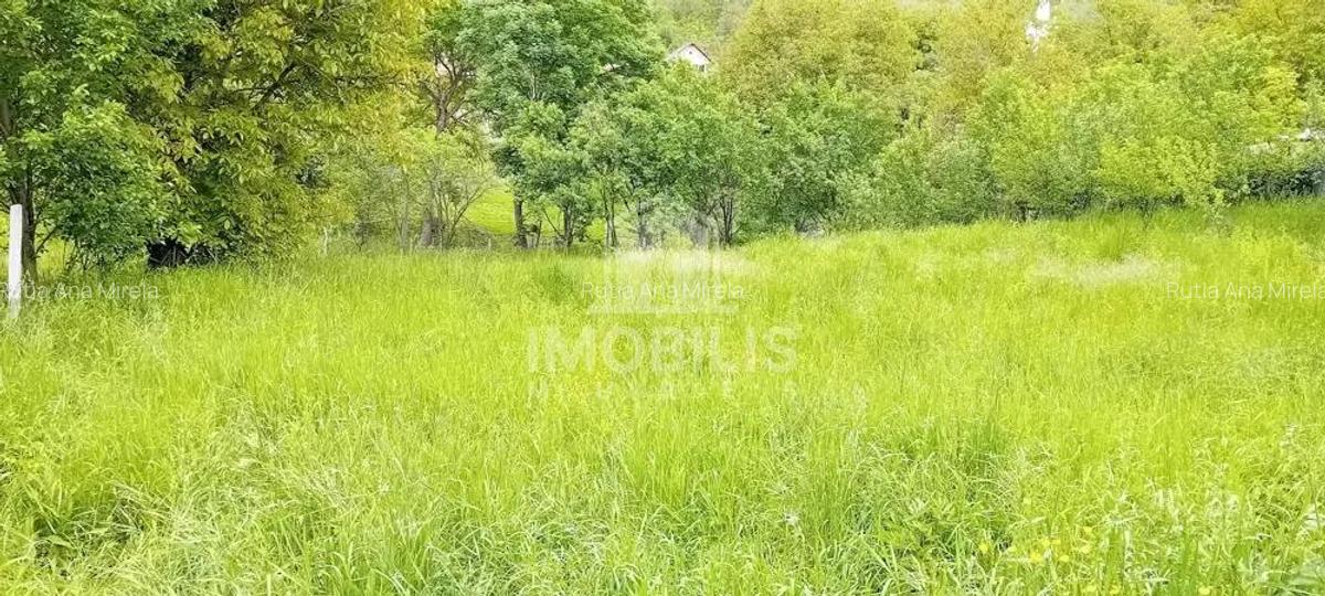 Teren intravilan | Budiu Mic | 994 mp - 8