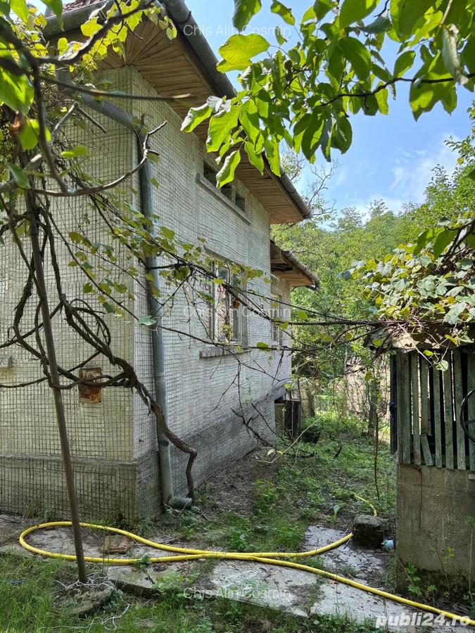 Casa de vanzare in localitatea Vicea - 3