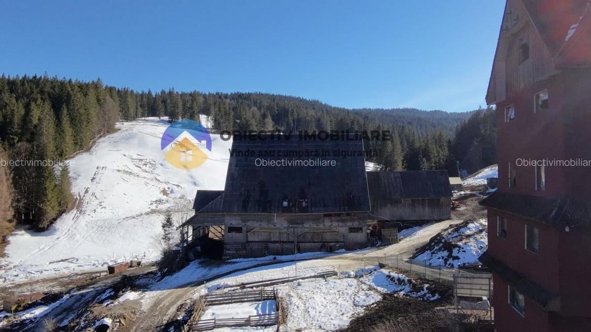 Refugiu Natural: Casa si Teren Inconjurat de Padure ! - 4