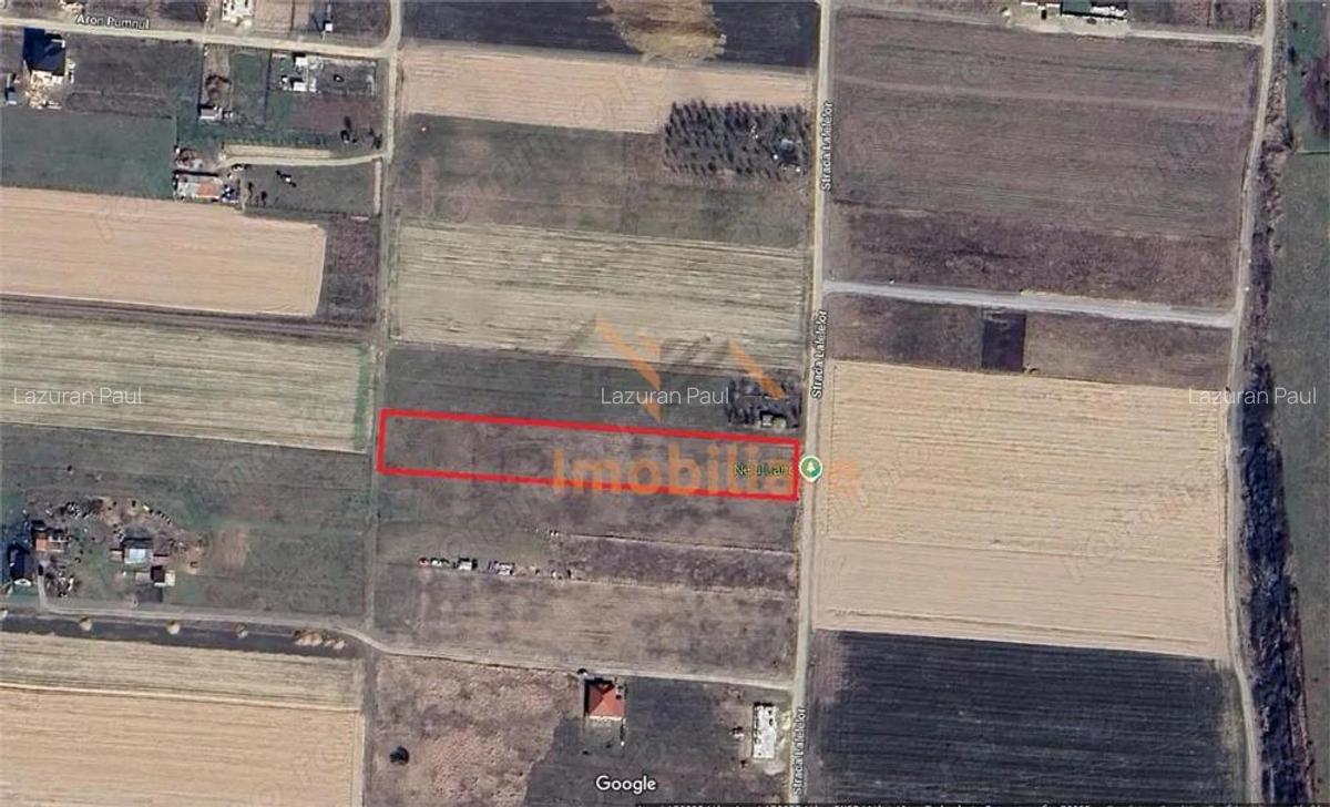 TEREN INTRAVILAN | 3837 mp | CIHEI | BIHOR - 3