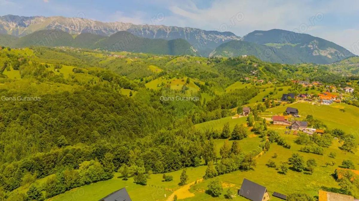 Teren extravilan 2,000mp Pestera / cabana vacanta/natura - 5