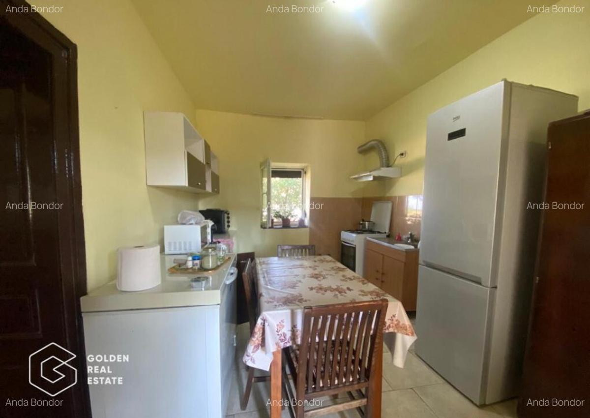 Casa cu 4405 mp teren, in Localitatea Cerna, Comuna Lieblie - 2